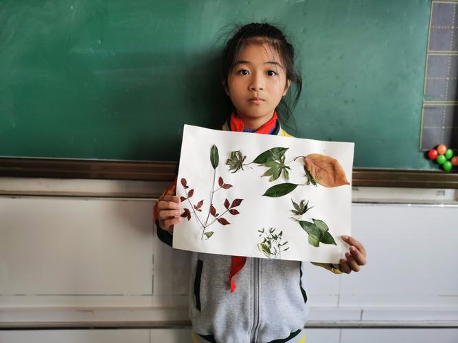 秋叶飞舞冬雪飘零育才小学四13班树叶贴画冬主题手抄报