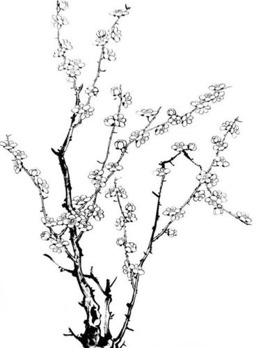 梅花简笔画带颜色树枝