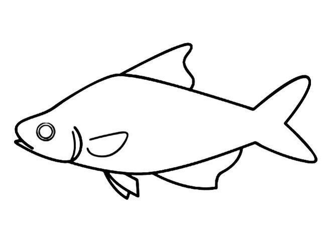 一只鱼动物简笔画步骤图片大全