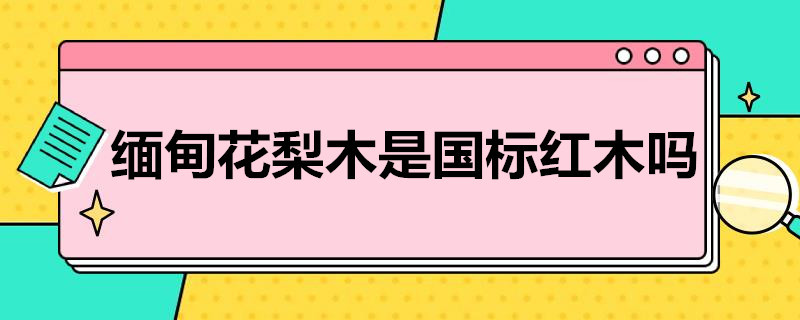 缅甸花梨木是国标红木吗