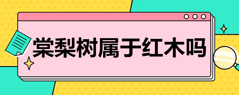 棠梨树属于红木吗