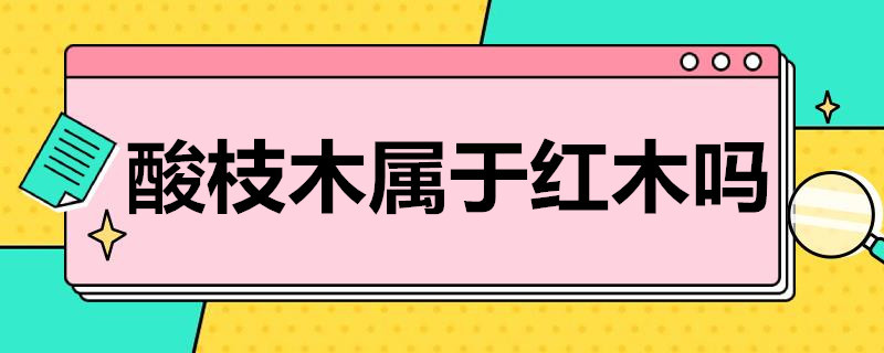 酸枝木属于红木吗