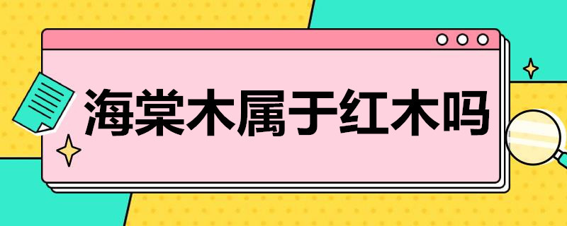 海棠木属于红木吗